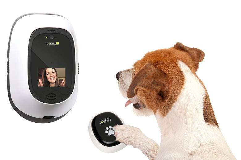Pet camera
