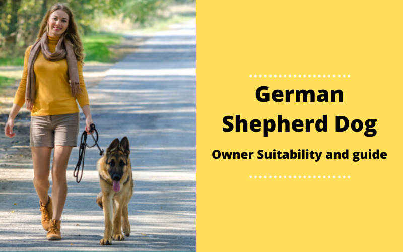 german shepherd owners guide