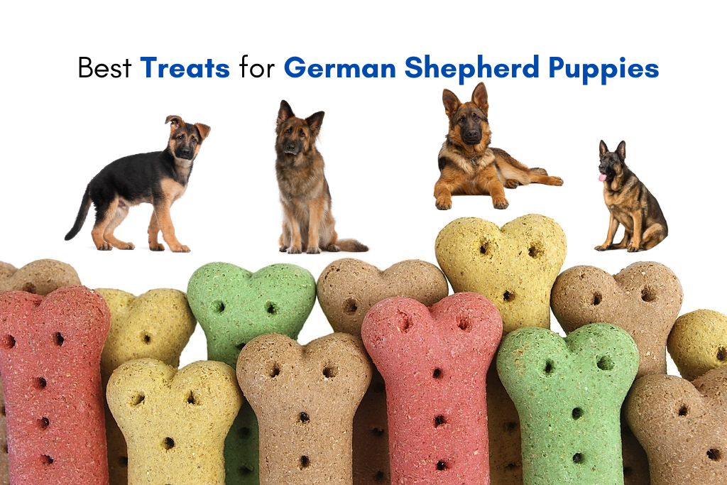 healthy treats for german shepherds