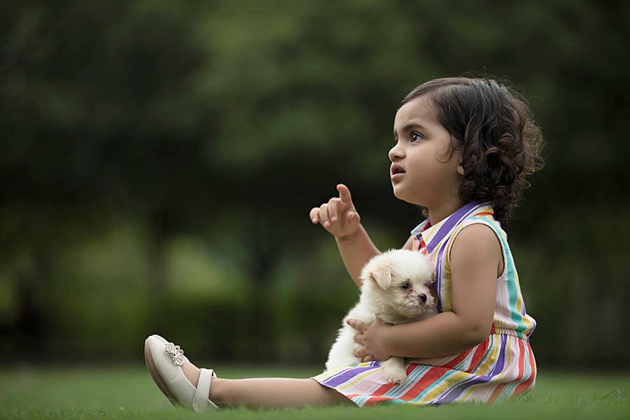 Introduce Baby to a Hyper Dog