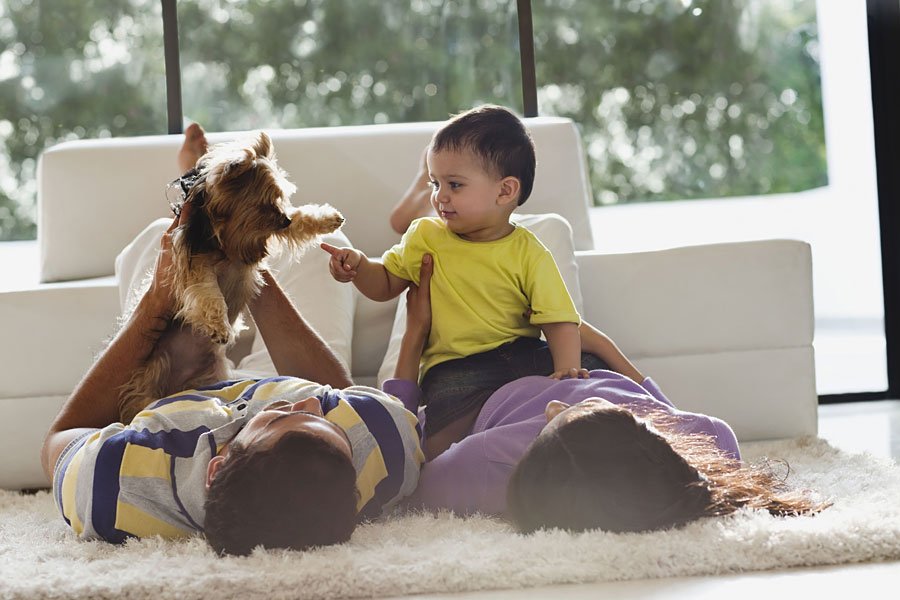 Introduce Baby to a Hyper Dog